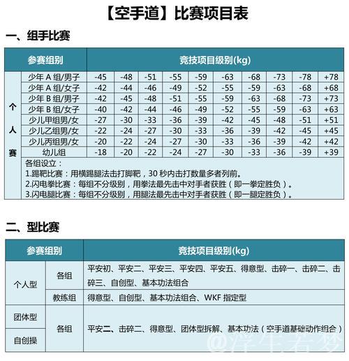2025年北京武搏赛“阳光下一代”精彩收官